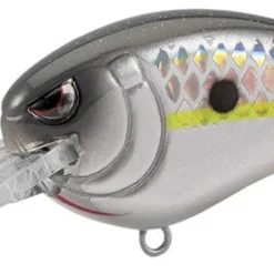 Spro Medium Diving (8-14ft.) Little John MD Type-R