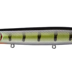 Ima Little Stick Walking 18 Ima Little Stick Walking