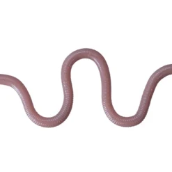 OSP Dropshot Baits MMZ