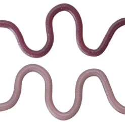 OSP Dropshot Baits MMZ 15 OSP Dropshot Baits MMZ