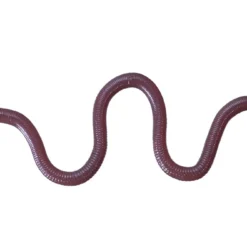 OSP Dropshot Baits MMZ 16 OSP Dropshot Baits MMZ