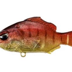 Duo Realis Nomase Gill