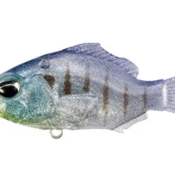 Duo Realis Nomase Gill