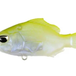 Duo Realis Nomase Gill