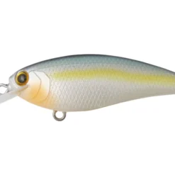 Bottom Up Shallow Diving (0-7ft.) Reazzy Appeal Plus