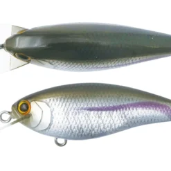 Bottom Up Shallow Diving (0-7ft.) Reazzy Appeal Plus