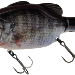 Imakatsu Kominami Gill Pop Hard Body