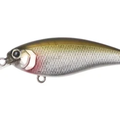 Bottom Up Reazzy Shallow Diving (0-7ft.)