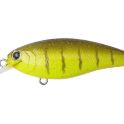 Bottom Up Reazzy Shallow Diving (0-7ft.)