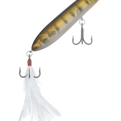 Evergreen USA SB 77.7 Walking 15 Evergreen USA SB 77.7 Walking