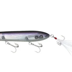 Evergreen International Shower Blows Shorty Walking