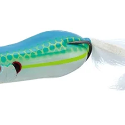 Evergreen USA Frogs Softshell Showblows Frog