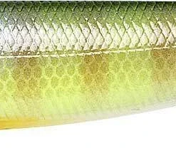 Lucky Craft Sammy 105 Walking