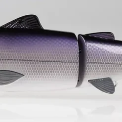 Baitsanity Explorer Gen 2 Glide Hard Body