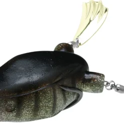 Teckel Frogs Honker Frog