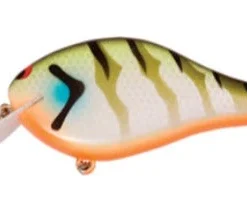 Ima Shaker 18 Ima Shaker