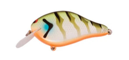 Ima Shaker 9 Ima Shaker