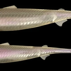 DrancKrazy Slow Shinner