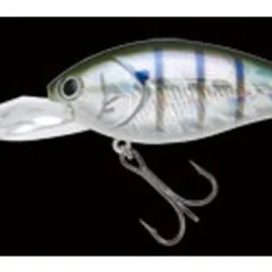 Nories Deep Diving (15 Ft.+) Shot Over 5