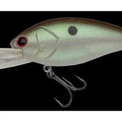 Nories Deep Diving (15 Ft.+) Shot Over 5