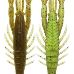 Bottom Up Hurry Shrimp