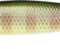 Lucky Craft Jerkbaits Slender Pointer 84 Lucky Craft Jerkbaits Slender Pointer