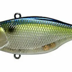 Jackall Lipless TN Disk Knocker