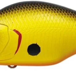 Evergreen International Shallow Diving (0-7ft.) Zeruch