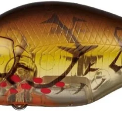 Evergreen International Shallow Diving (0-7ft.) Zeruch