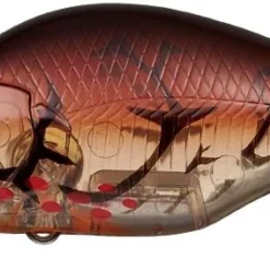 Evergreen International Shallow Diving (0-7ft.) Zeruch