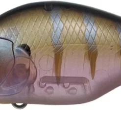 Evergreen International Shallow Diving (0-7ft.) Zeruch