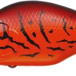 Evergreen International Shallow Diving (0-7ft.) Zeruch