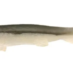 3:16 Lure Company Paddletail Swimbaits Minnow