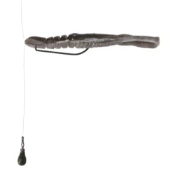 Bottom Up Hurry Shrimp