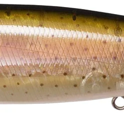 Megabass Megadog 27 Megabass Megadog