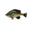 Savage Gear Pulse Tail Line Through Bluegill 1 Savage Gear Pulse Tail Line Through Bluegill