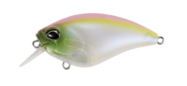 Deals Bait Box Pro Store -Deals Bait Box Pro Store